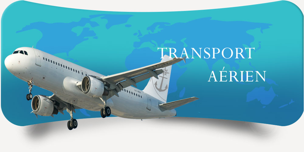 service_transport_international_maritime_aérien_logistique_transit_dédouanement_freight_forwarder_fret